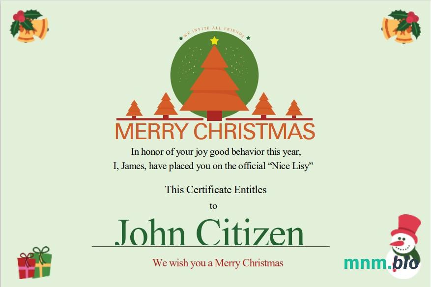 USA Christmas Gift cert